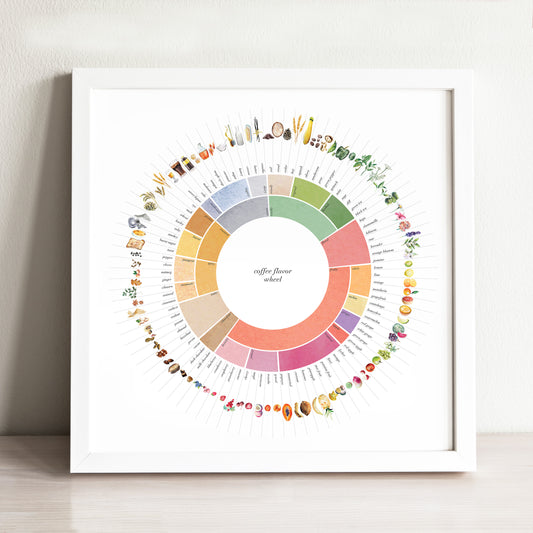 Coffee Flavor Wheel Art Print
