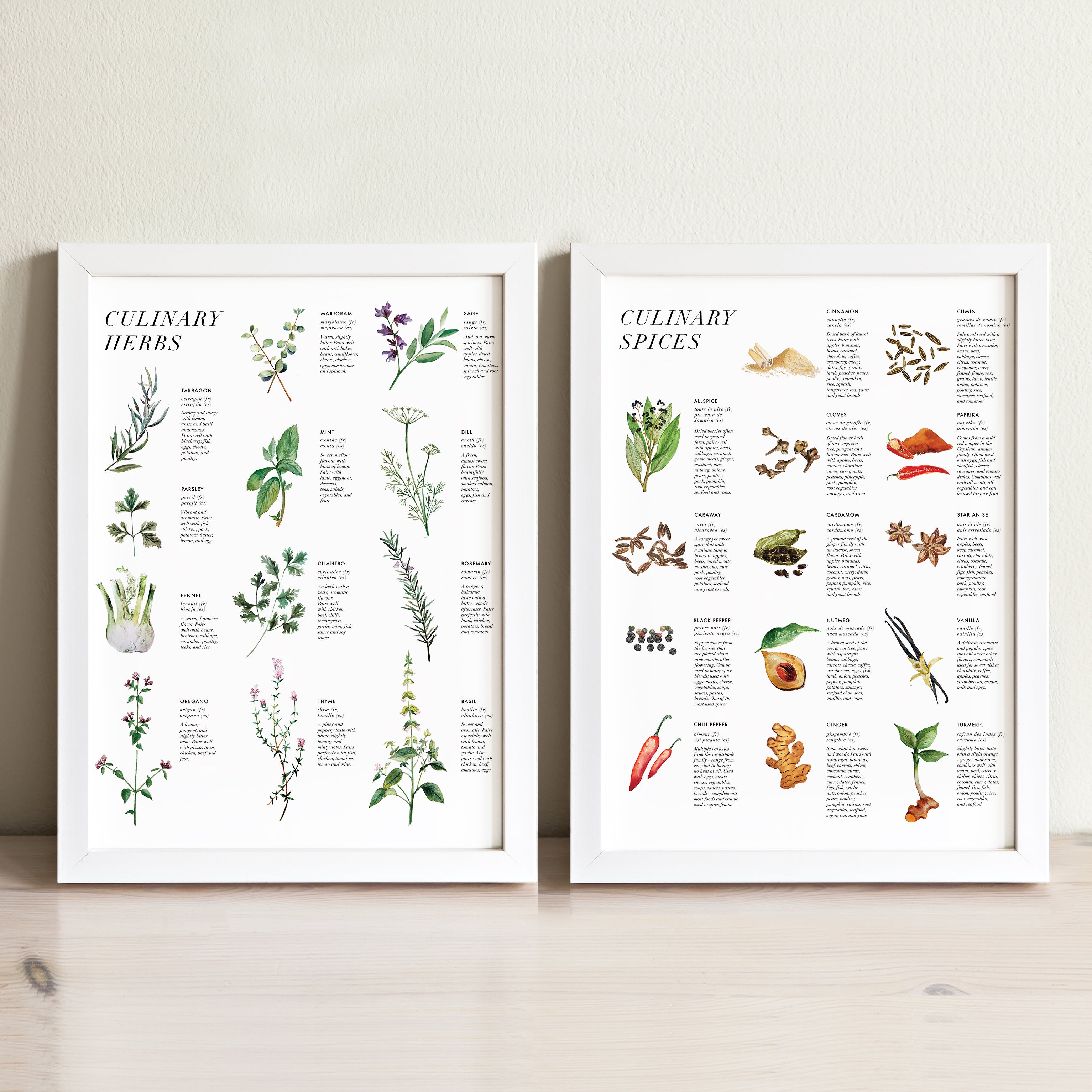 Culinary Herbs + Spices Art Print Set | Illustrated Decor for Nursery ...