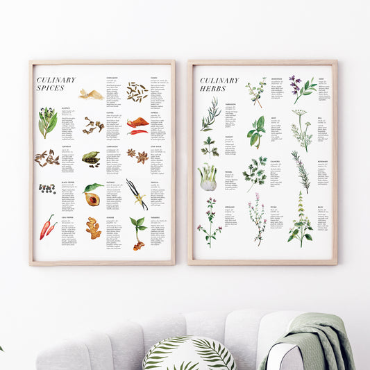Culinary Herbs + Spices Art Print Set