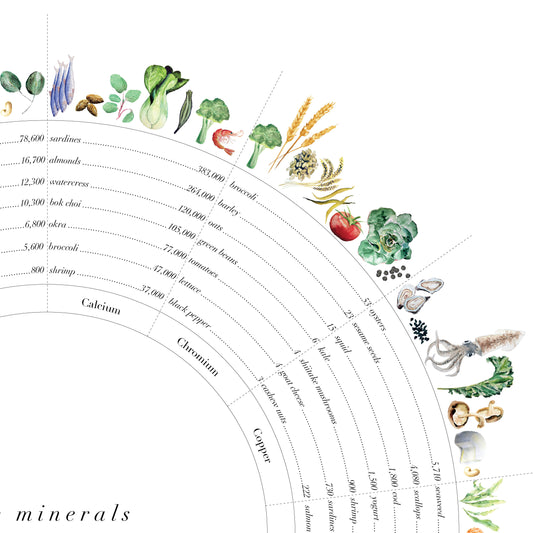 Mineral Wheel Art Print