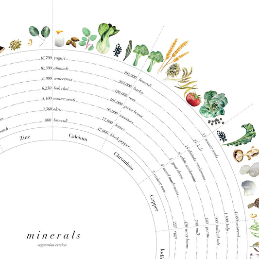 Mineral Wheel Art Print - Vegetarian Version