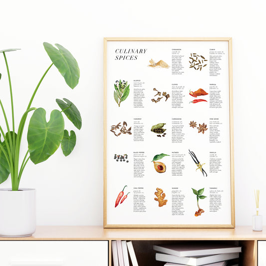 Culinary Spices Art Print