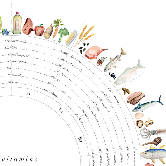 Vitamin Wheel Art Print