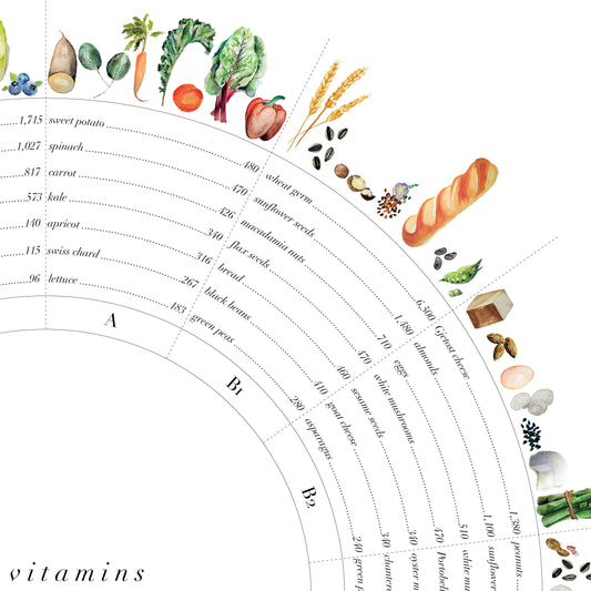 Vitamin Wheel Art Print - Vegetarian
