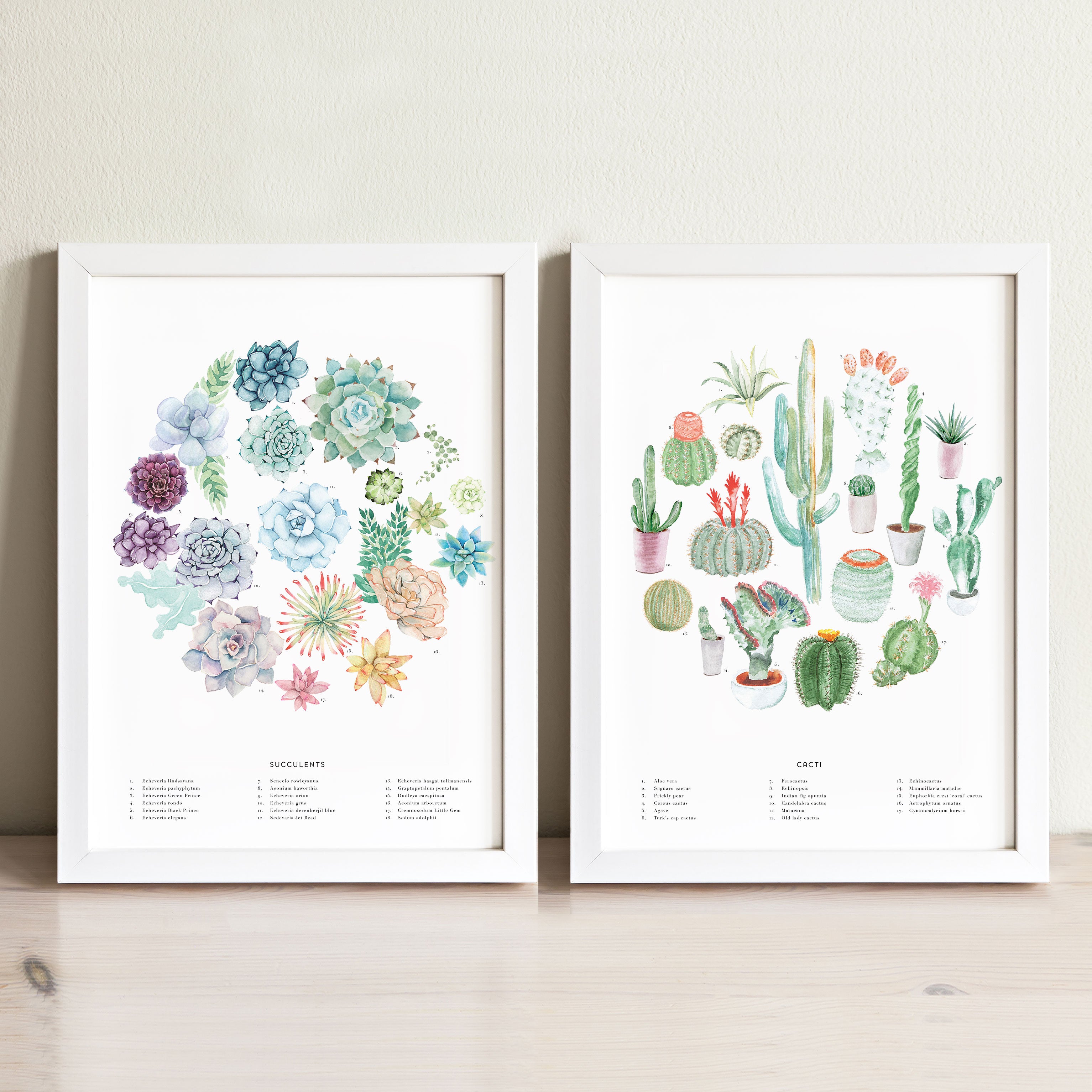 cactus and succulent painting Cactus + Succulent Art Print Set