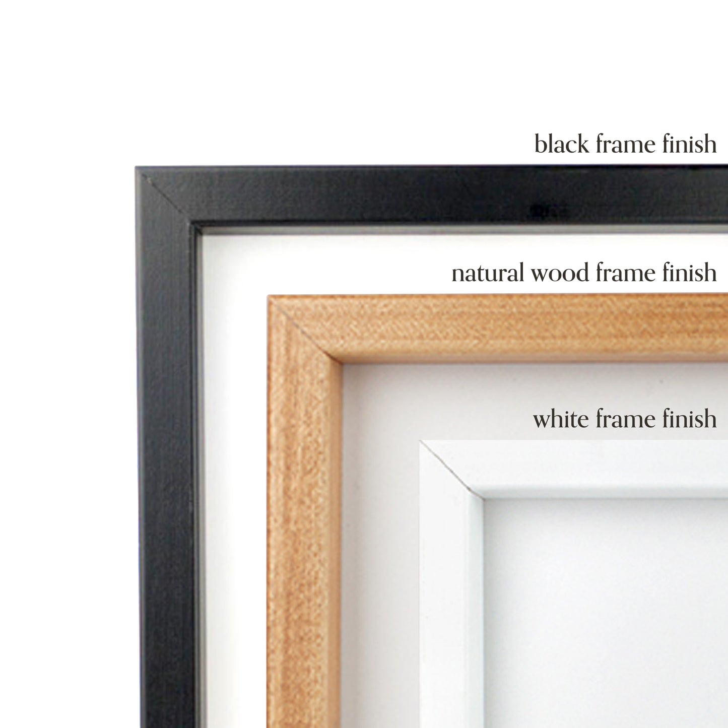 Culinary Herbs + Spices Art Print Set