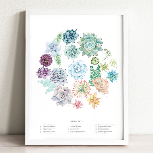 Succulent Wheel Art Print