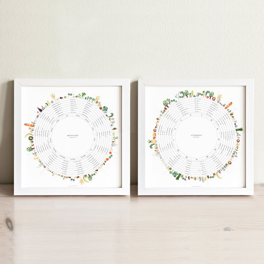 Vitamin + Mineral Wheels Art Print Set - Vegetarian