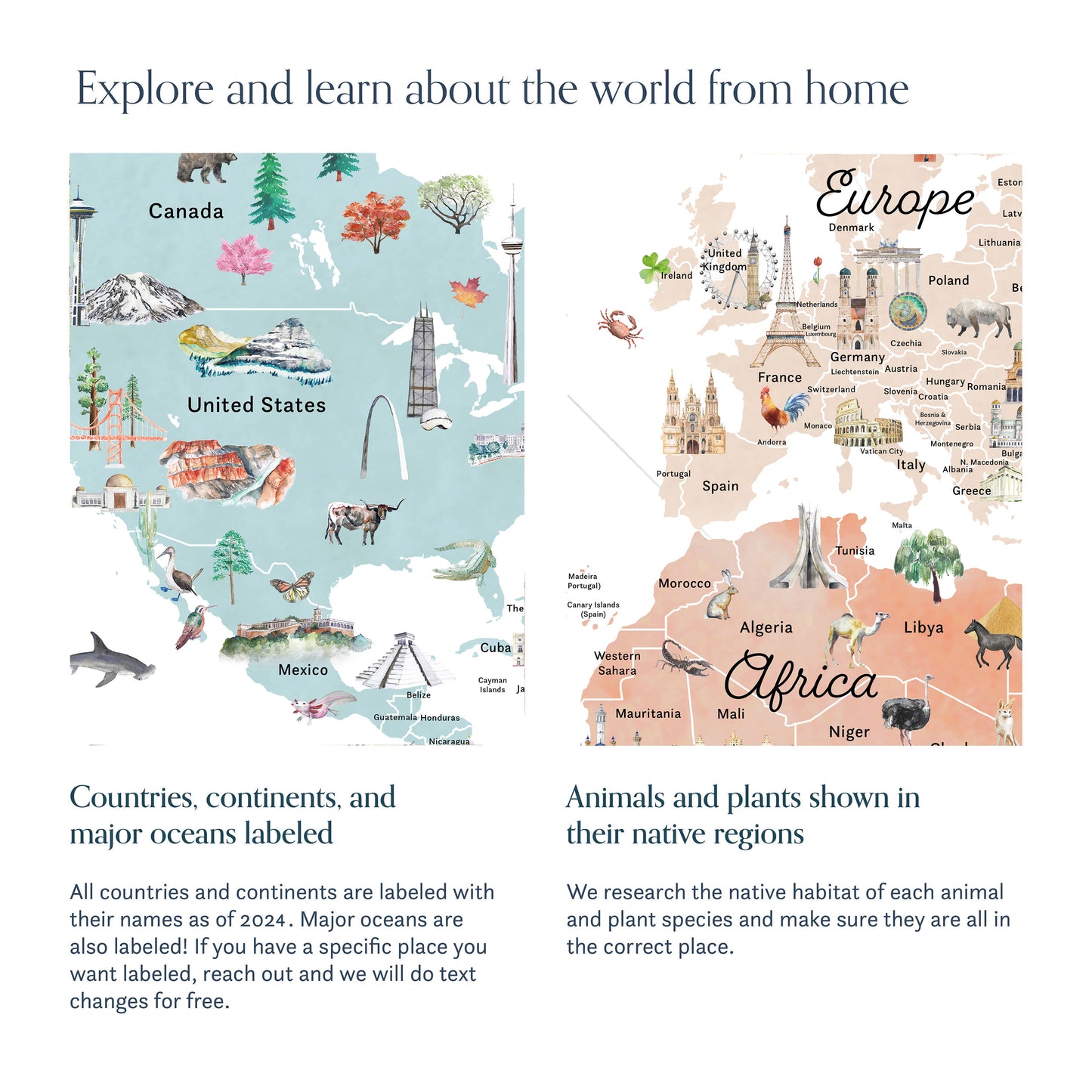 Illustrated Reference World Map