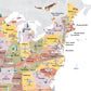 United States of America Reference Map