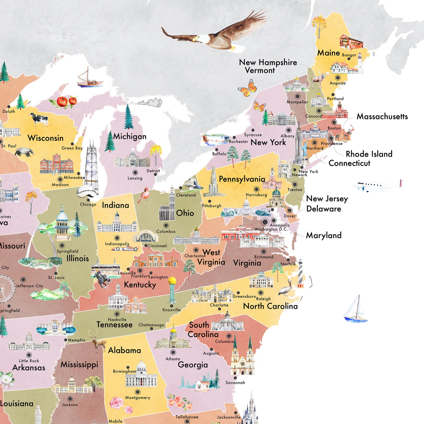 United States of America Reference Map