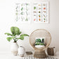 Culinary Herbs + Spices Art Print Set