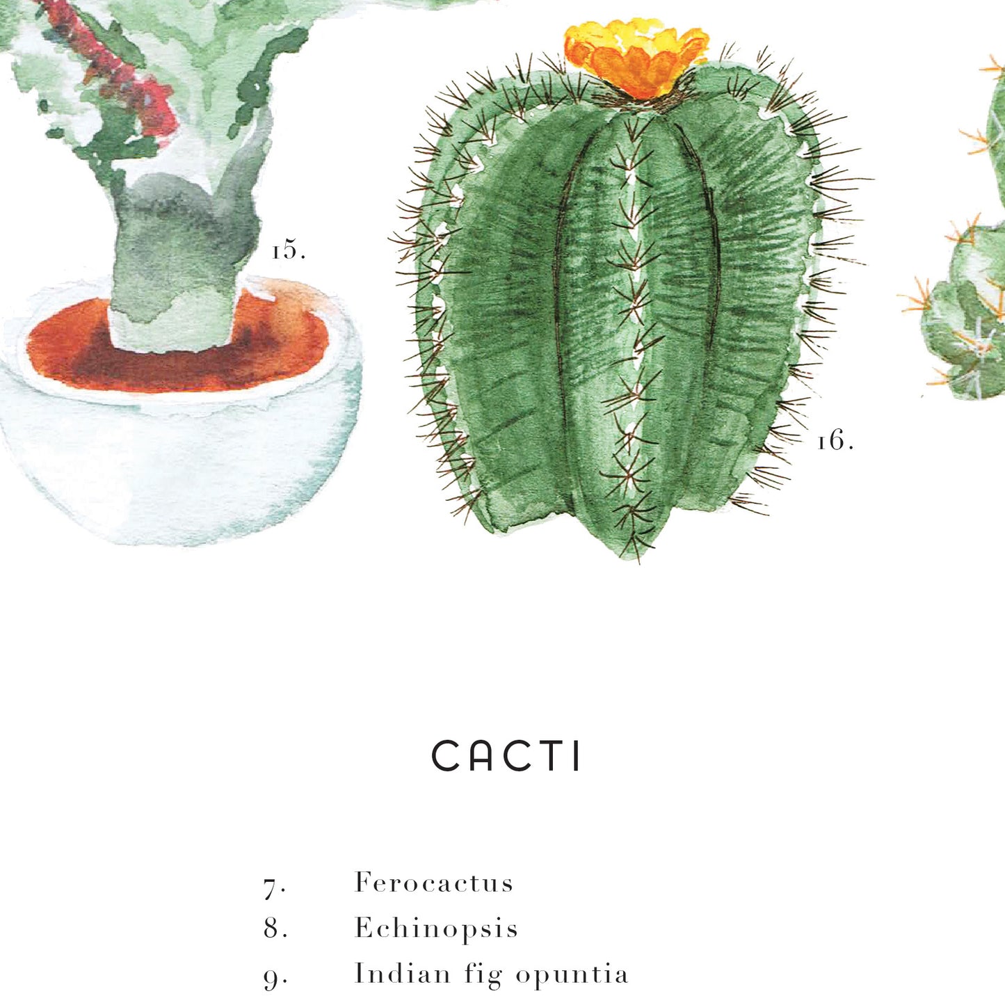 Cactus Wheel Art Print