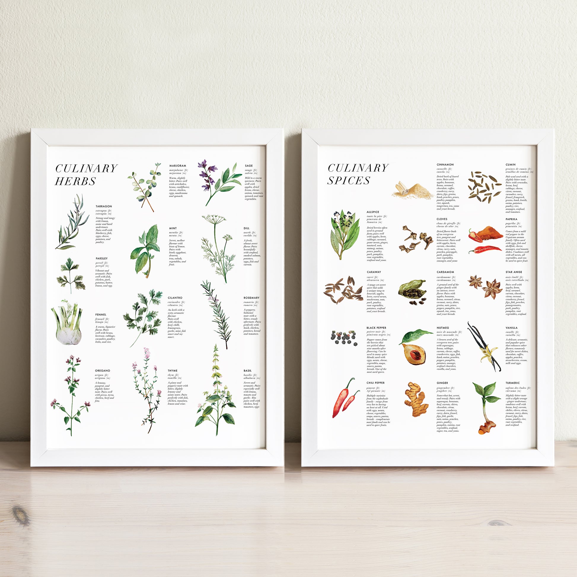 Herbs And Spices Wall Art  Paintings, Drawings & Photograph Art