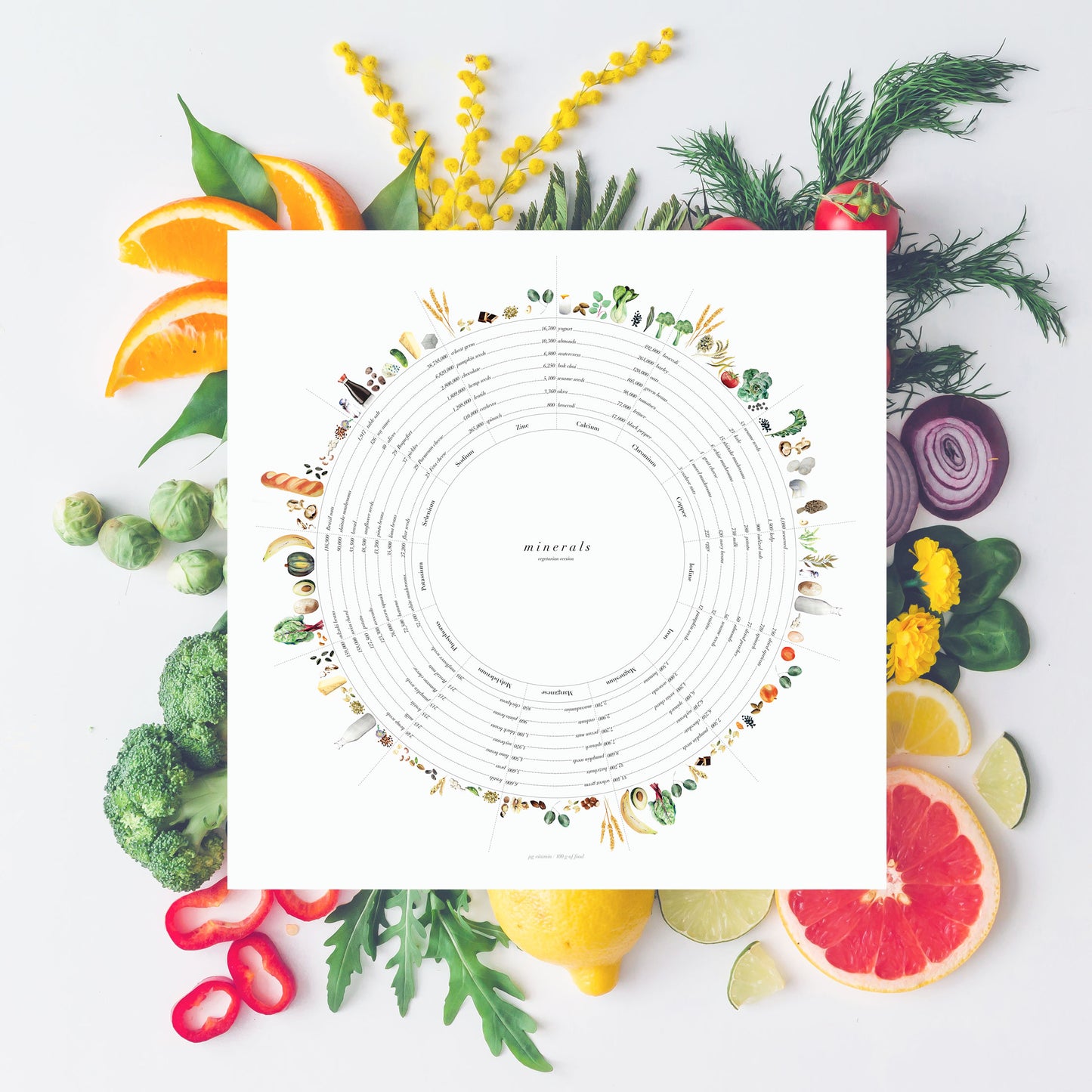 Vitamin + Mineral Wheels Art Print Set - Vegetarian