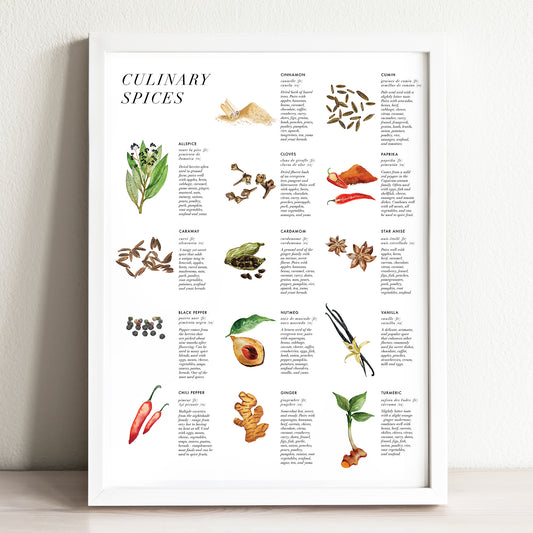 Culinary Spices Art Print