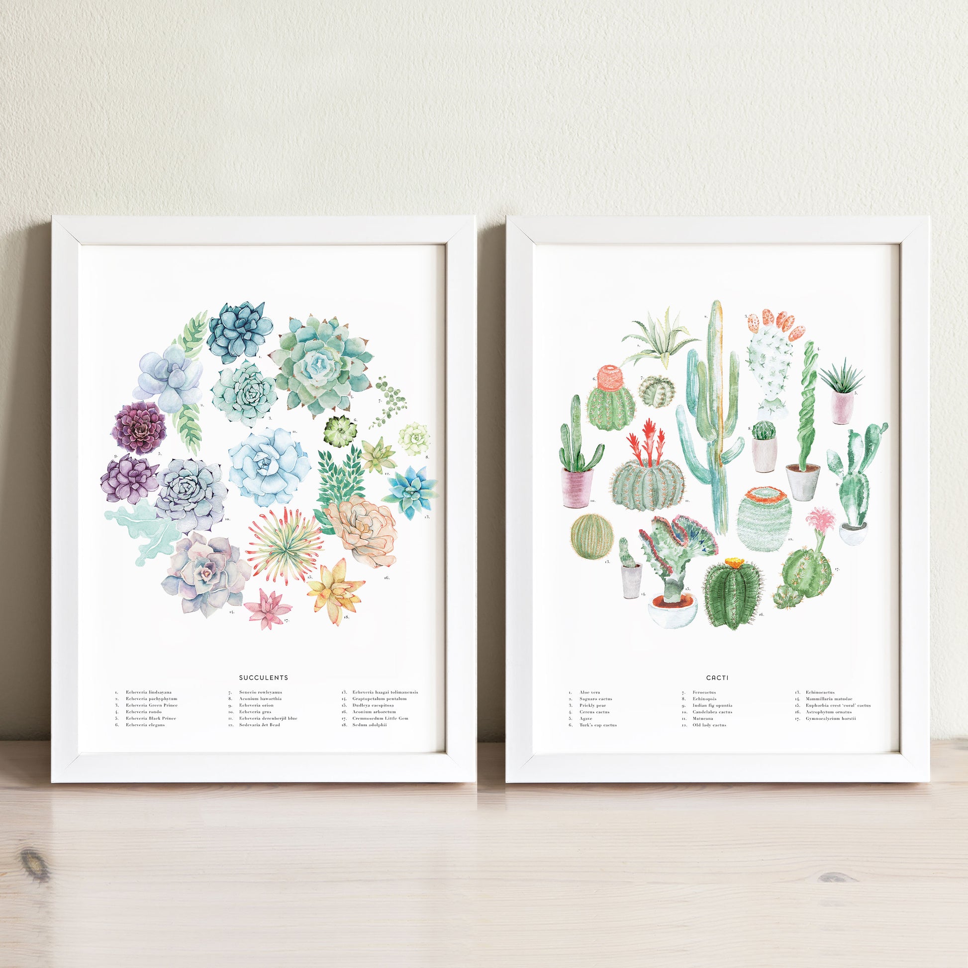 succulent nursery decor Cactus + Succulent Art Print Set