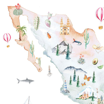 Mexico Illustrated Map Art Print