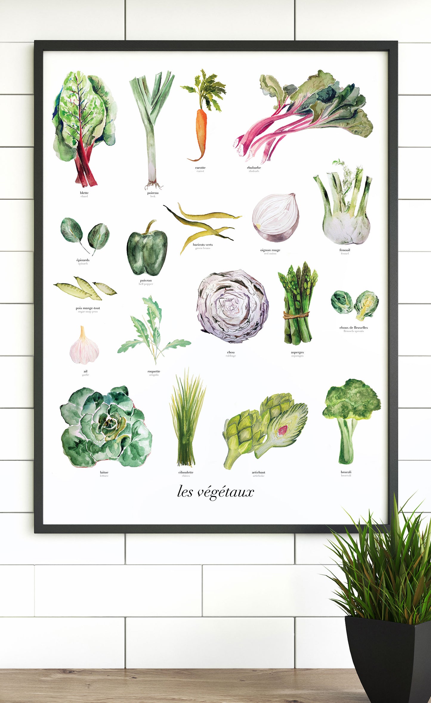 Fruits + Vegetables Art Print Set