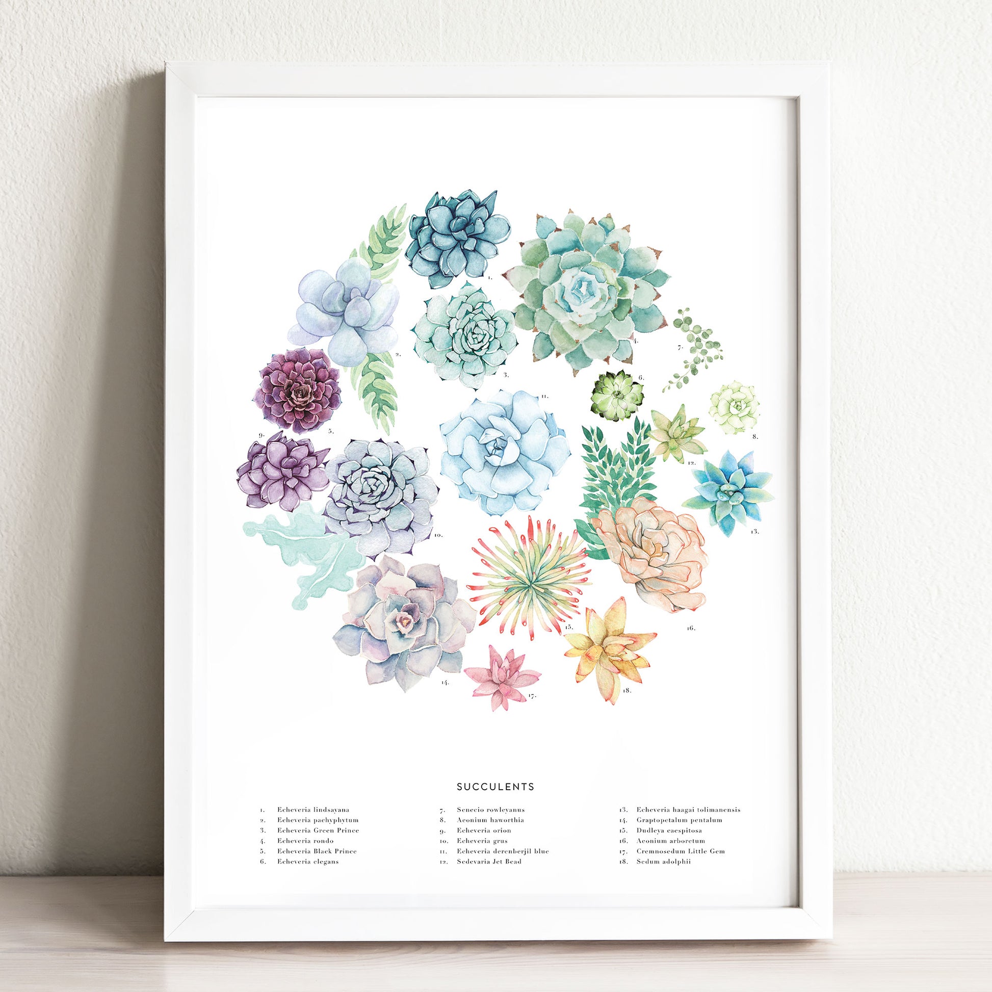 succulent wheel Succulent Wheel Art Print