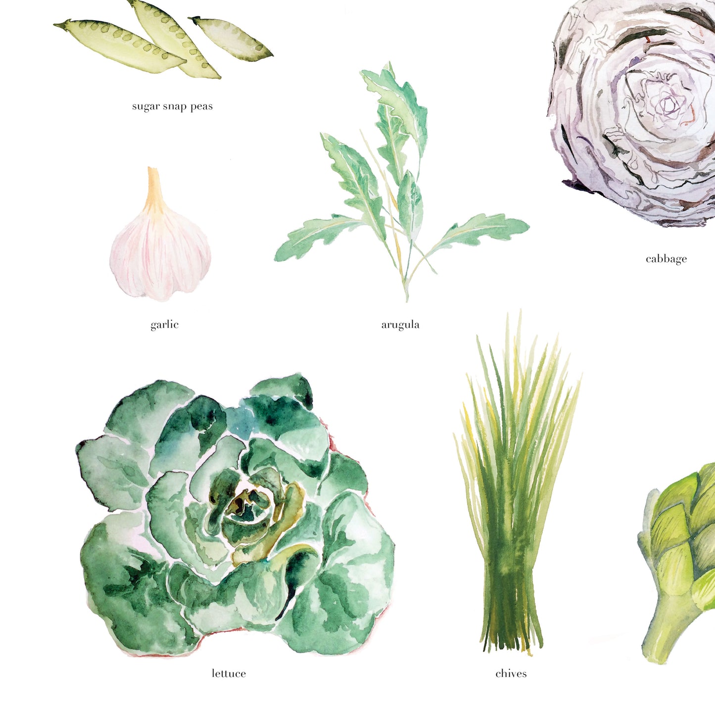 Vegetables Art Print