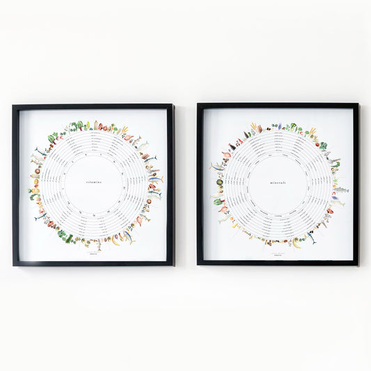 Vitamin + Mineral Wheels Art Print Set